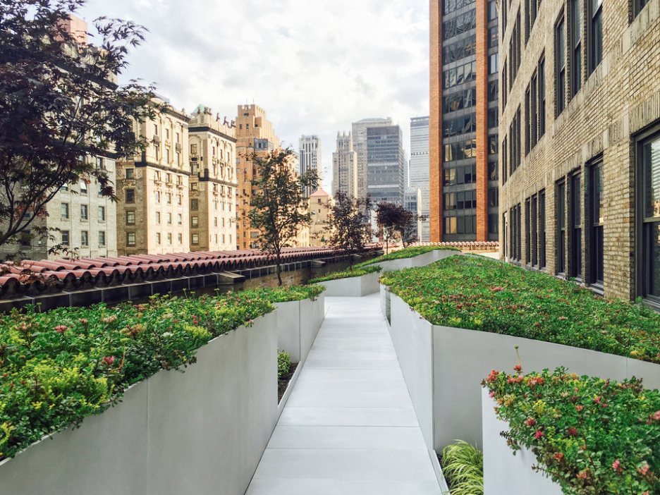 Future Expansion Architects: The Loop